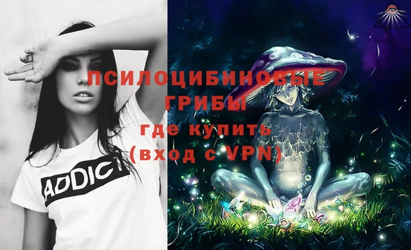 MDMA Premium VHQ Горнозаводск