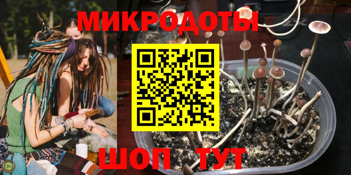Галлюциногенные грибы мицелий Грязи