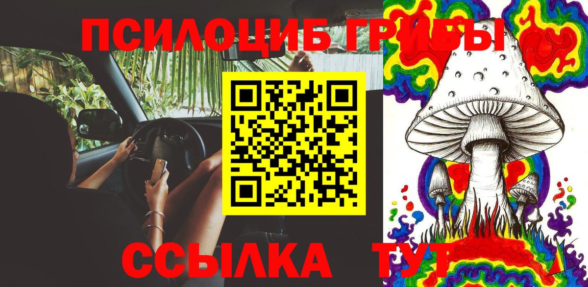 где купить наркоту  Галлюциногенные грибы Psilocybe  Грязи  Галлюциногенные грибы Magic Shrooms 
